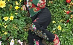 苏紫紫干露露全套